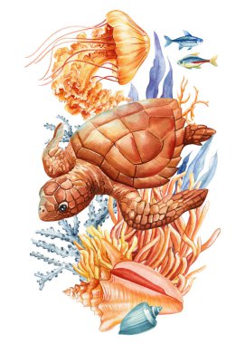 Kaplumbağa, denizanası, yosun, balık, deniz kabuğu suluboya resmi. Mercan resifinde tropik deniz altı balıkları, deniz tırmanışı. Yüksek kaliteli illüstrasyon
