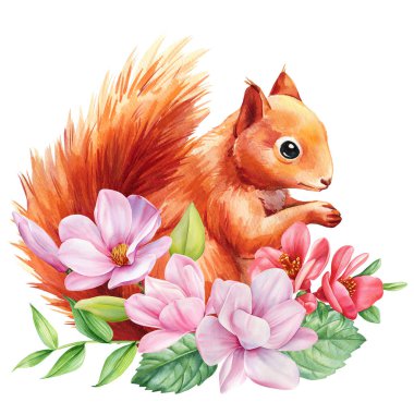 Manolya çiçekli sincap izole edilmiş beyaz arka plan, suluboya çizimi. Şirin hayvan, pembe çiçek tebrik kartı. Yüksek kaliteli illüstrasyon