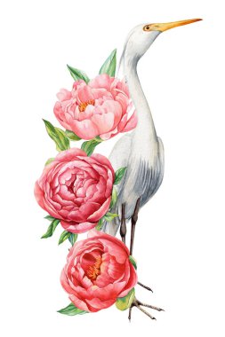 Beyaz yalıtılmış arka planda şakayık çiçekleri olan güzel balıkçıl kuş, suluboya çizimi. Kuş ve şakayık çizimi. Yüksek kaliteli illüstrasyon