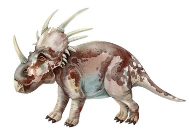 Gerçekçi Triceratops dinozoru beyaz arka planı izole etti. Elle boyanmış suluboya dinozor resimleri, Styracosaurs. Yüksek kaliteli illüstrasyon