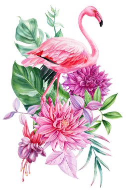 Şirin Flamingo, suluboya kuş çizimi, pembe flamingo ve tropik çiçekler, beyaz arka planda izole edilmiş palmiye yaprakları. Yüksek kaliteli illüstrasyon