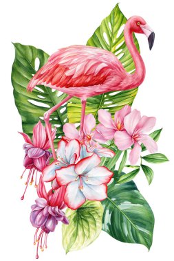 Yaz Flamingo suluboya kuş çizimi, pembe flamingo ve tropik çiçekler, beyaz arka planda izole edilmiş palmiye yaprakları. Yüksek kaliteli illüstrasyon