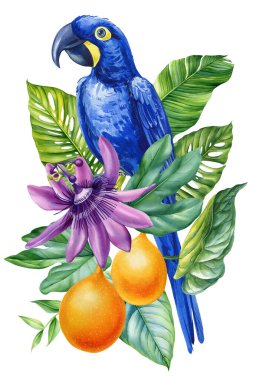 Papağan suluboya çizimi. El yapımı tropik bitki örtüsü ve kuş tasarımı. Kuş, çiçekler ve palmiye yaprakları tebrik kartları. Yüksek kaliteli illüstrasyon