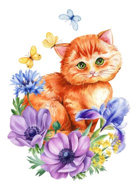 Kedi Suluboya. Tatlı kızıl kedi yavrusu ve çiçekler. Anemon, çiçek çiçeği, süsen çiçeği ve beyaz arka planda kelebekler, çiçekli yavru hayvan. Flora 'daki Kitty Yüksek Kaliteli Resim