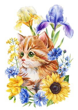 Kedi Suluboya. Tatlı kızıl kedi yavrusu ve çiçekler. Ayçiçeği, çiçek çiçeği, süsen çiçeği ve beyaz arka planda kelebekler, çiçekli yavru hayvan. Flora 'daki Kitty Yüksek Kaliteli Resim
