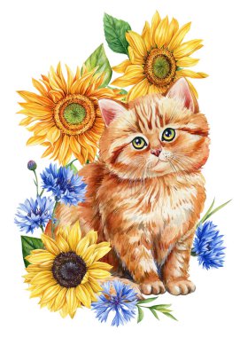 Kedi Suluboya. Tatlı kızıl kedi yavrusu ve çiçekler. Ayçiçeği, mavi çiçek ve beyaz arka planda Kitty. Çiçekli yavru hayvan. Flora 'daki Kitty Yüksek Kaliteli Resim