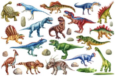 Gerçekçi dinozor izole edilmiş arka plan. El çizimi suluboya dinozorlar. Dino clipart. Stegosaurus, Velociraptor, Triceratops, Brachiosaurus, Tyrex, tarih öncesi dönem. Yüksek kaliteli illüstrasyon