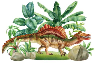 Ormandaki dinozorlar, Stegosaurus dinozorunun suluboya çizimleri. Tarih öncesi manzarası olan el yapımı bir hayvan. Yüksek kaliteli illüstrasyon