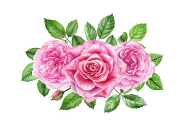 Pembe güller. Bir buket yaz bahçesi çiçeği, ıssız, suluboya bir botanik üzerinde yeşil yapraklar. Düğün davetiyeleri. Yüksek kaliteli illüstrasyon