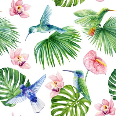 Sinekkuşu deseni, suluboya tropikal palmiye yaprakları, çiçekler, kuşların izole edilmiş bitki örtüsü, tropik desenler. Yüksek kaliteli illüstrasyon