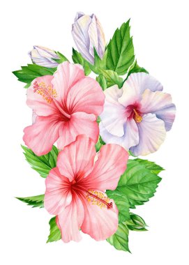 Egzotik pembe çiçek. Çiçekler ve yapraklar. Yaz botanik resmi suluboya çizimi Orman bitkisi izole edilmiş. Yüksek kaliteli illüstrasyon