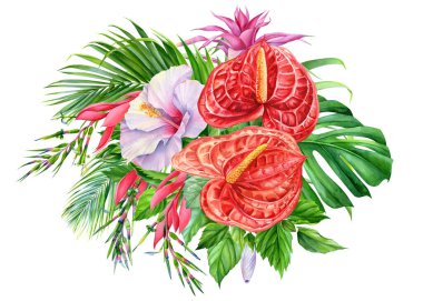 Egzotik çiçekler. Anthurium, amber çiçeği ve yapraklar. Yaz botanik tablosu, suluboya illüstrasyon orman bitkisi izole. Yüksek kaliteli illüstrasyon