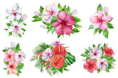 Egzotik çiçekler. Anthurium, amber çiçeği ve yapraklar. Yaz botanik tablosu, suluboya illüstrasyon orman bitkisi izole. Yüksek kaliteli illüstrasyon