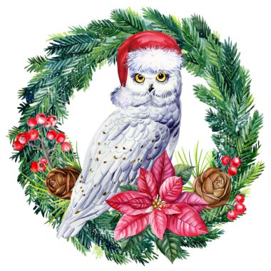 Beyaz arka planda Noel Baba şapkalı tatlı suluboya baykuş, Noel süsleri, komik yeni yıl kutup baykuşu, kutup beyaz kuşu. Tatil kartı, poster. Yüksek kaliteli illüstrasyon