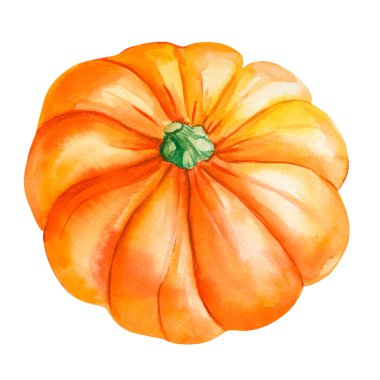 Turuncu balkabağı suluboya izole edildi. El çizimi güz hasadı. Cadılar Bayramı kutlaması, Sonbahar Sebze İllüstrasyonu. Yüksek kaliteli illüstrasyon