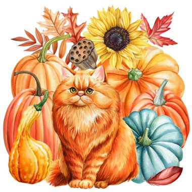 Sonbahar kırmızı kedisi, balkabakları, kuru yapraklar izole edilmiş arka plan. El boyası suluboya şirin hayvan çizimi, gerçekçi kedi. Yüksek kaliteli illüstrasyon