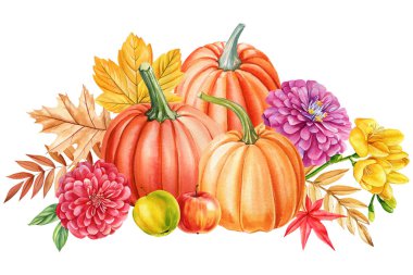 Balkabağı, elma, çiçekler, yapraklar, soyutlanmış arka plan, botanik çizim eli sonbahar posteri, kart. Yüksek kaliteli illüstrasyon