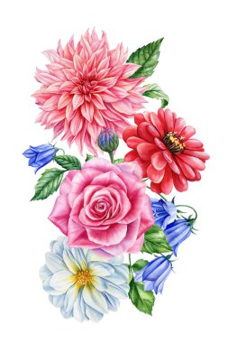 Çiçekler, dal yaprakları, beyaz arka planda tomurcuklar suluboya çizimler, çiçeklerle ilgili düzenlemeler, düğün tasarımı. Yüksek kaliteli illüstrasyon