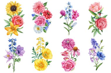 Çiçekler, dal yaprakları, beyaz arka planda tomurcuklar suluboya çizimler, çiçeklerle ilgili düzenlemeler, düğün tasarımı. Yüksek kaliteli illüstrasyon