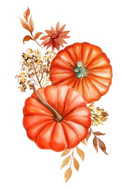 Sonbahar suluboya balkabakları, çiçekler, yaprak izole. Dekoratif tebrik kartı, poster ve sonbahar festivali için suluboya el yapımı sonbahar. Yüksek kaliteli illüstrasyon