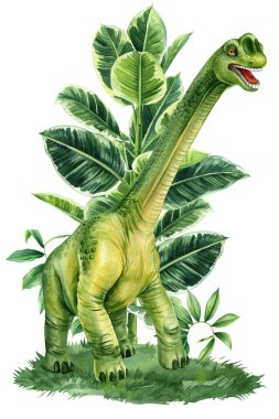 Gerçekçi dinozor, Jura bitkisi izole edilmiş. Ansiklopedi ansiklopedisi için elle boyanmış dinozor resimleri. Yüksek kaliteli illüstrasyon