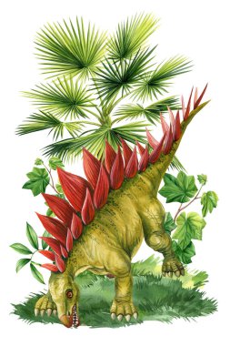 Gerçekçi dinozor Jurasik bitki izole edildi. El çizimi suluboya dinozorlar çizimi Stegosaurus, antik hayvanlar. Yüksek kaliteli illüstrasyon