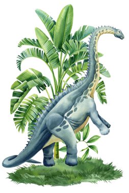 Gerçekçi dinozor, Jura bitkisi izole edilmiş. Ansiklopedi ansiklopedisi için elle boyanmış dinozor resimleri. Yüksek kaliteli illüstrasyon
