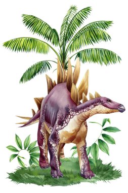 Gerçekçi dinozor Jurasik bitki izole edildi. El çizimi suluboya dinozorlar çizimi Stegosaurus, antik hayvanlar. Yüksek kaliteli illüstrasyon