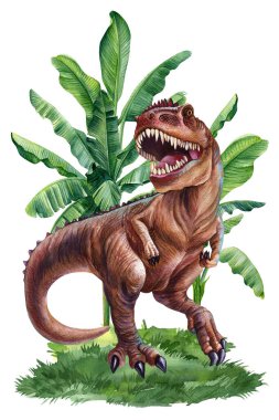 Tyrannosaurus dinozor Jurassic bitkisi izole edildi. Ansiklopedi Ansiklopedisi Ansiklopedisi için el yapımı suluboya çizimi. Yüksek kaliteli illüstrasyon