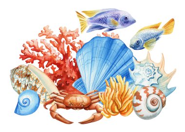 Suluboya deniz kabukları, mercan, izole edilmiş balık. Yaz tatili poster tasarımı, tropikal deniz kabukları, deniz yaşamı klipleri. Yüksek kaliteli illüstrasyon