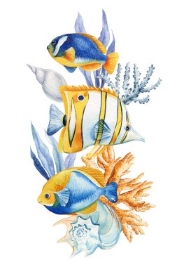 Tropik balıklar, suluboya deniz kabukları, mercanlar, izole edilmiş balıklar. Yazlık poster tasarımı, deniz kabukları, deniz yaşamı klipleri. Yüksek kaliteli illüstrasyon