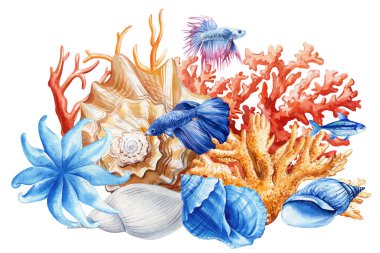 Resif, suluboya deniz kabukları, mercan, izole edilmiş balık. Yaz tatili posteri, tropikal deniz kabukları, deniz hayatı klipleri. Yüksek kaliteli illüstrasyon