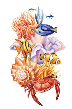 Resif. Suluboya yengeç, deniz kabuğu, mercan, izole edilmiş balık. Yaz tatili tasarımı, tropikal deniz kabukları, deniz yaşamı klipleri. Yüksek kaliteli illüstrasyon