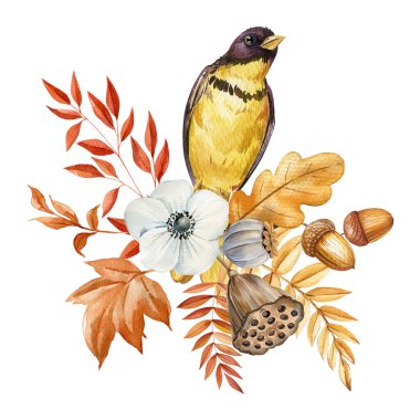 Kuş ve yapraklar, sonbahar çiçekleri, Cadılar Bayramı öğesi, beyaz arka planda izole edilmiş suluboya çizimleri. Yüksek kaliteli illüstrasyon