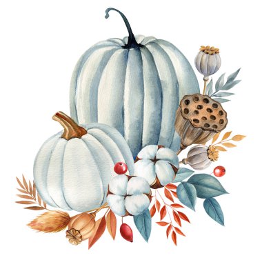 Balkabakları ve yapraklar, sonbahar çiçekleri. Sonbahar sebzelerinin dekoratif görüntüsü, beyaz arkaplanda izole edilmiş suluboya çizimi. Yüksek kaliteli illüstrasyon