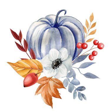 Balkabakları ve yapraklar, sonbahar çiçekleri, şükran günü öğesi, suluboya resimleme izole beyaz arka plan. Yüksek kaliteli illüstrasyon