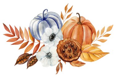 Balkabakları, çiçekler ve yapraklar, sonbahar çiçekli klitoris şükran günü tasarımı suluboya çizimi izole edilmiş arka plan. Yüksek kaliteli illüstrasyon