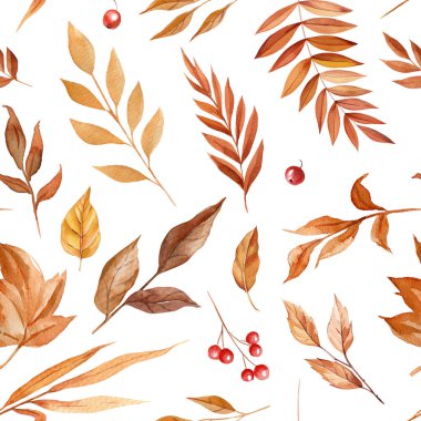 Sonbahar mahsulsüz kuru yapraklar, çiçekler, çiçek elementleri. Suluboya zarif sonbahar tasarımları, zarif sonbahar suluboya desenleri. Yüksek kaliteli illüstrasyon