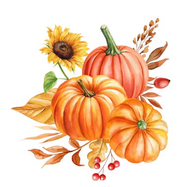 Sonbahar uyumu balkabakları, kuru yapraklar, ayçiçeği, mevsimlik dekor. Sonbahar Şükran Günü 'nde suluboya boyanmış balkabakları. Yüksek kaliteli illüstrasyon