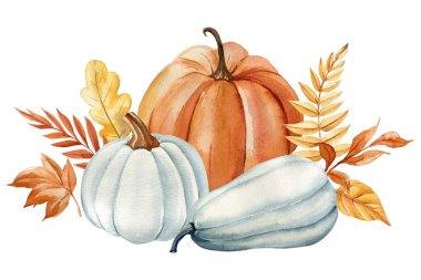 Balkabaklarıyla, çiçekleriyle ve kuru yapraklarıyla sonbahar kompozisyonu. Tasarım için zarif bir sonbahar flora suluboya resmi. Yüksek kaliteli illüstrasyon