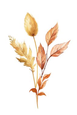 Çimen ve kuru yapraklarla kaplanmış sonbahar kompozisyonu. Tasarım, poster ve kart için zarif bir sonbahar suluboya resmi. Yüksek kaliteli illüstrasyon