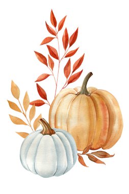 Balkabaklarıyla, çiçekleriyle ve kuru yapraklarıyla sonbahar kompozisyonu. Tasarım için zarif bir sonbahar flora suluboya resmi. Yüksek kaliteli illüstrasyon
