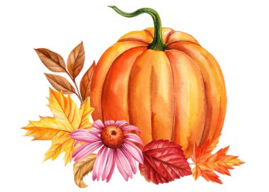 Autumn Pumpkins, flower, leaves isolated, watercolor painting fall illustration, Festive holiday decorations clip art. High quality illustration clipart