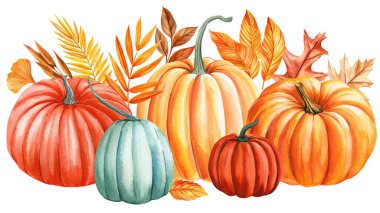 Pumpkins and dry leaves, flowers on isolated white background, watercolor painting fall illustration, Festive holiday decorations clip art. High quality illustration clipart