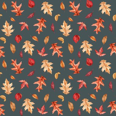 Canlı suluboya sonbahar yaprakları pürüzsüz bir desen bırakır. Mevsimlik tasarımlar için sonbahar yaprakları, elle boyanmış kuru yapraklar. Yüksek kaliteli illüstrasyon