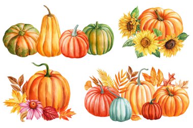 Balkabakları, yapraklar, soyutlanmış arka plan, suluboya resim sonbahar resmi, sonbahar klip sanatı. Yüksek kaliteli illüstrasyon