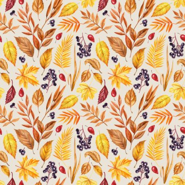Canlı suluboya sonbahar yaprakları ve dikişsiz meyveler. Yapraklar mevsimlik tasarımlar, elle boyanmış kuru yapraklar. Yüksek kaliteli illüstrasyon