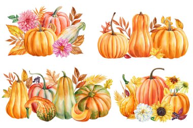 Kabaklar ve kuru yapraklar, izole edilmiş beyaz arka planda çiçekler suluboya resim sonbahar illüstrasyonu, bayram dekorasyon klipleri sanat. Yüksek kaliteli illüstrasyon