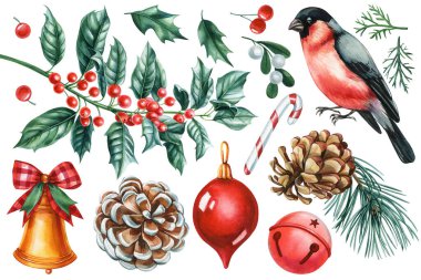 Şenlikli Noel öğeleri seti, suluboya ile çizilmiş beyaz arka planda izole kış zirvesi. Boğa ispinozu Holly ve ziller. Yüksek kaliteli illüstrasyon