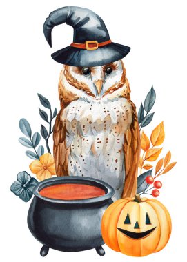 Halloween owl in witch hat with black cauldron, pumpkin, dry leaves, flowers. Watercolor illustration for seasonal decor. High quality illustration clipart